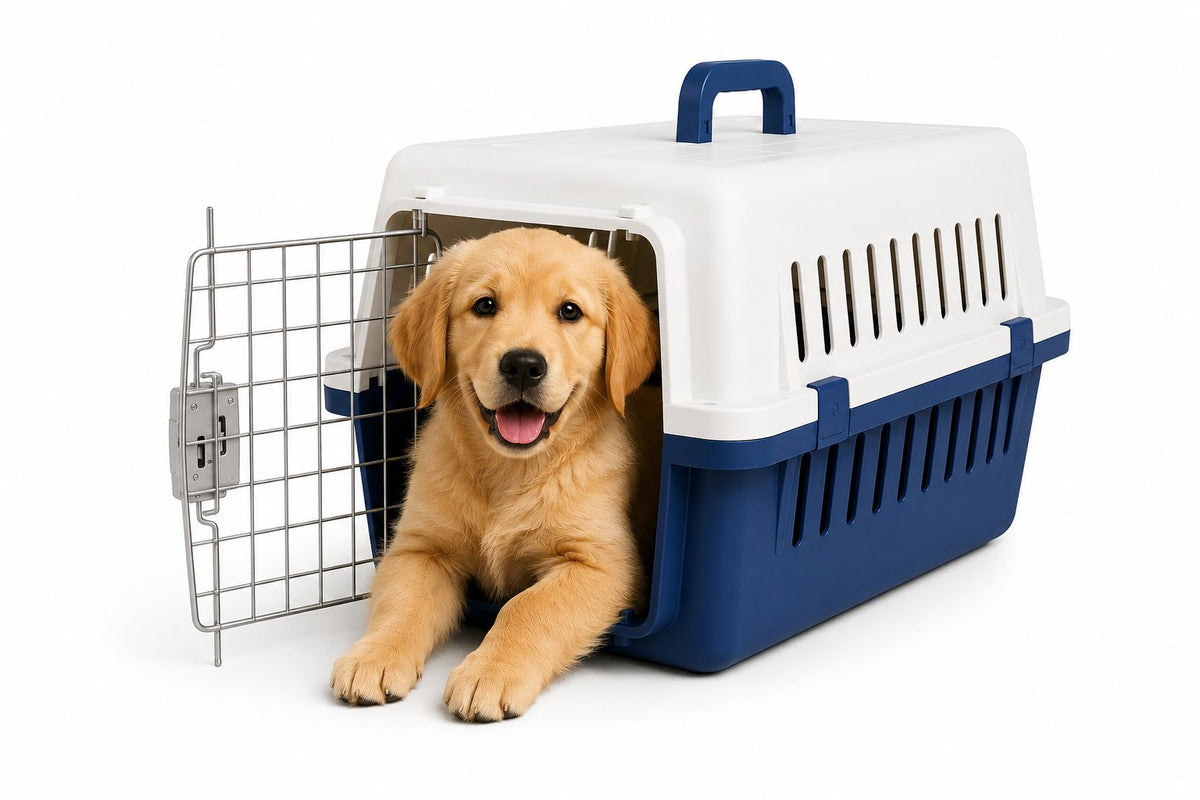 JAULA TRANSPORTADORA DE PERRO