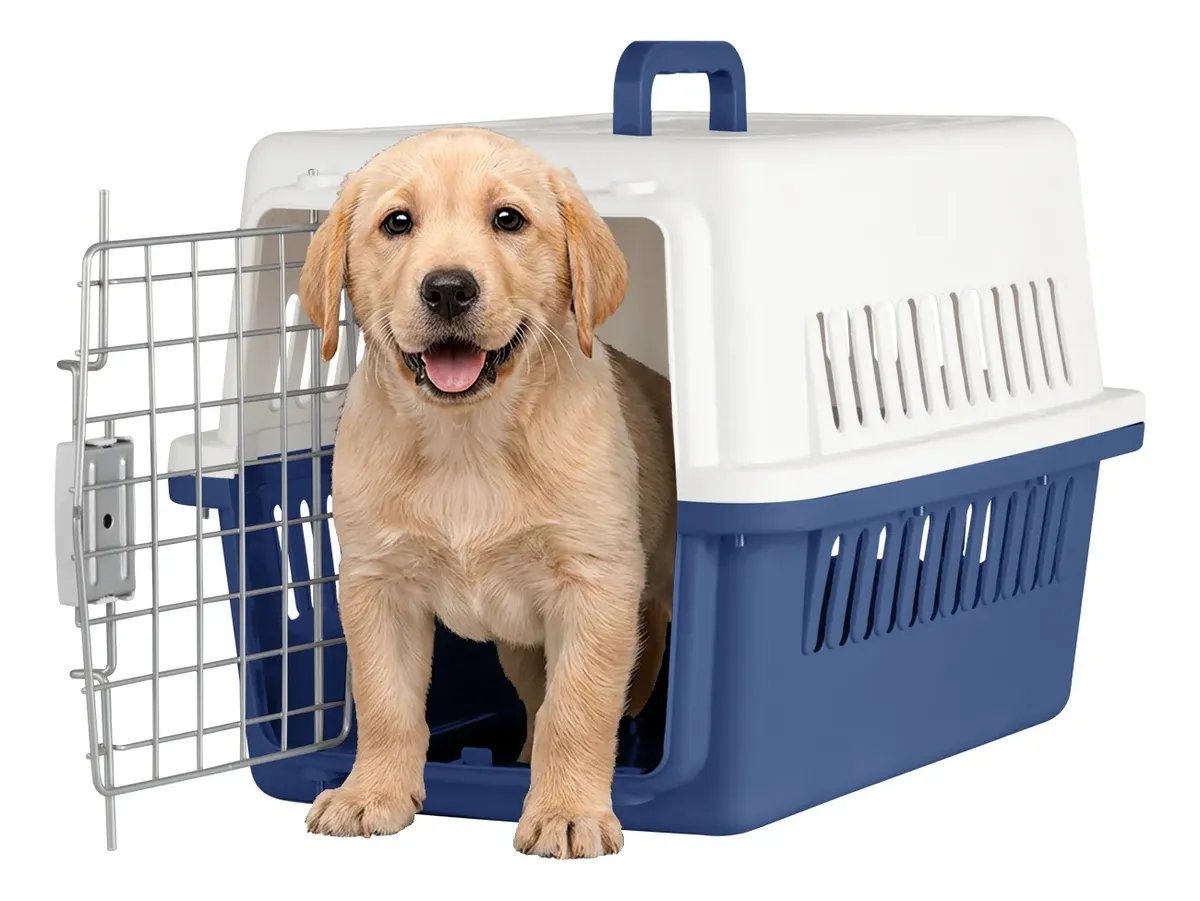 JAULA TRANSPORTADORA DE PERRO